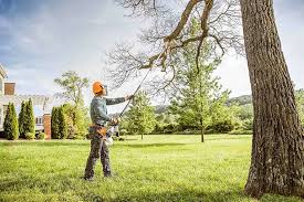 Best Aeration Services  in Wernersville, PA