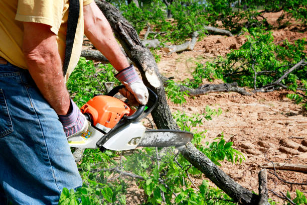 Best Seasonal Cleanup (Spring/Fall)  in Wernersville, PA